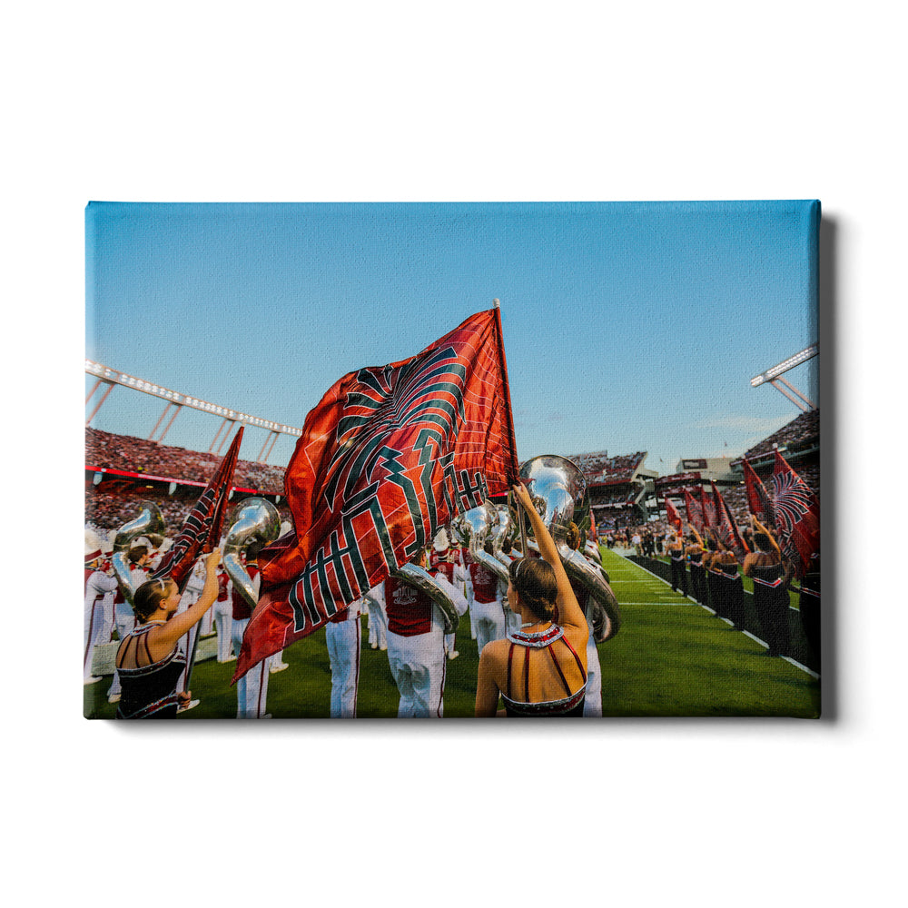 South Carolina Gamecocks - Half Time Flag - College Wall Art #Canvas