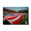 South Carolina Gamecocks - Made in America - College Wall Art #Canvas