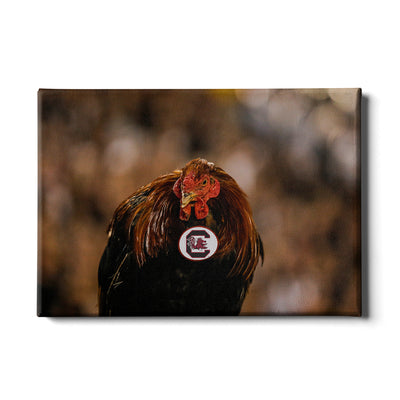 South Carolina Gamecocks - Big Spur - College Wall Art #Canvas