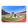 South Carolina Gamecocks - Half Time - College Wall Art #Metal