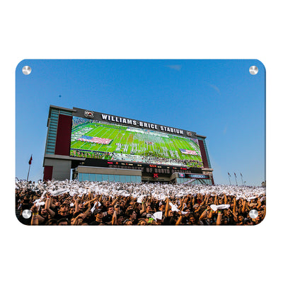 South Carolina Gamecocks - Space Odyssey - College Wall Art #Metal