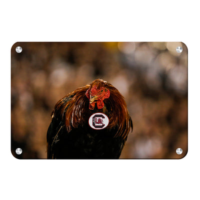 South Carolina Gamecocks - Big Spur - College Wall Art #Metal