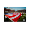 South Carolina Gamecocks - Made in America - College Wall Art #Poster