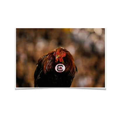 South Carolina Gamecocks - Big Spur - College Wall Art #Poster