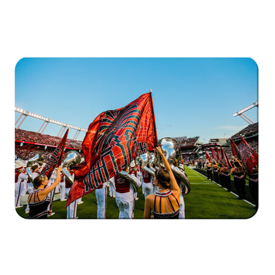 South Carolina Gamecocks - Half Time Flag - College Wall Art #PVC