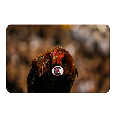 South Carolina Gamecocks - Big Spur - College Wall Art #PVC