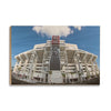 South Carolina Gamecocks - Williams Brice Stadium - College Wall Art #Wood