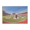 South Carolina Gamecocks - Half Time - College Wall Art #Wood