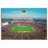 South Carolina Gamecocks - Gamecock Football - College Wall Art #Wood