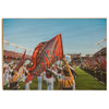 South Carolina Gamecocks - Half Time Flag - College Wall Art #Wood