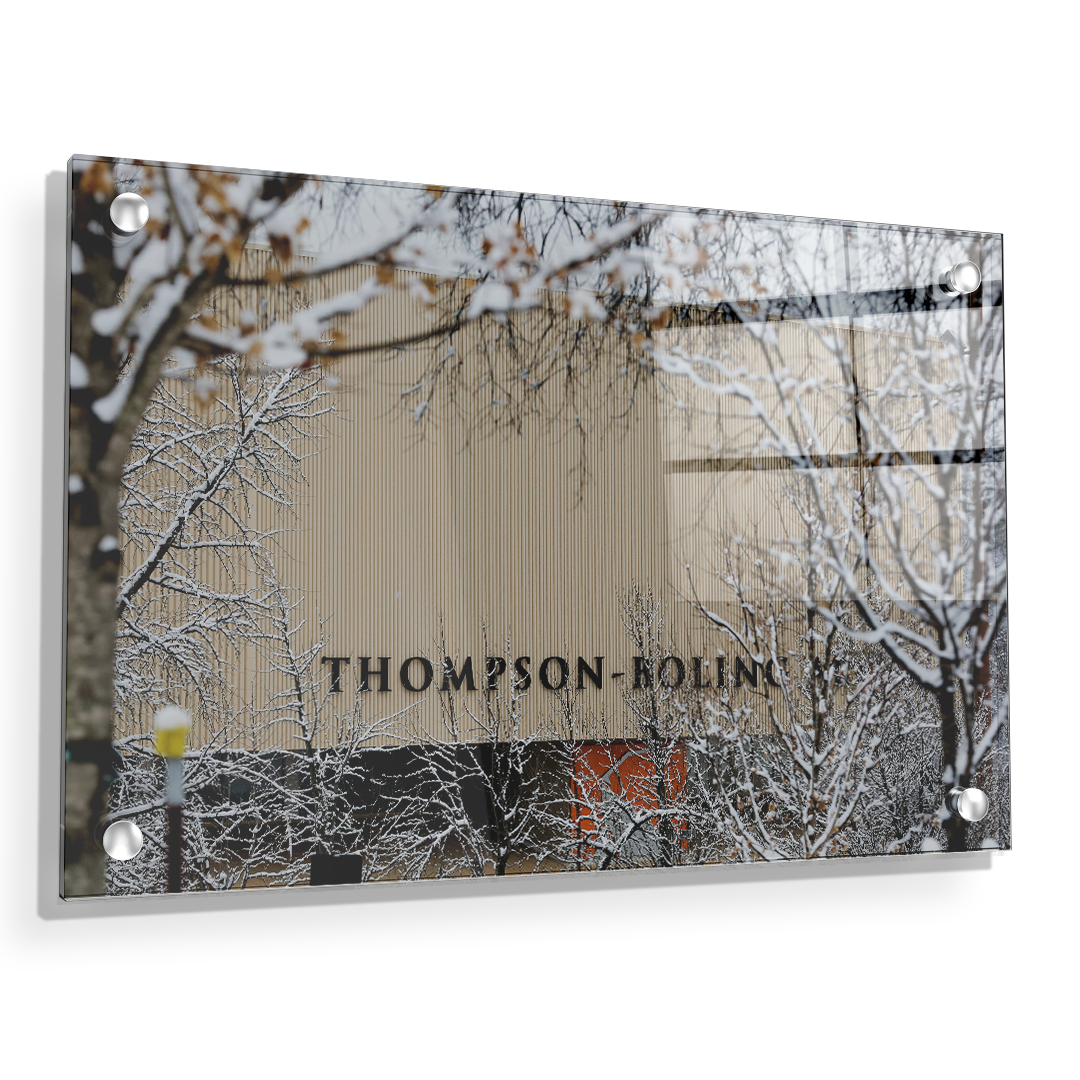 Tennessee Volunteers - Snowy Thompson-Boling - College Wall Art #Canvas