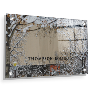 Tennessee Volunteers - Snowy Thompson-Boling - College Wall Art #Acrylic