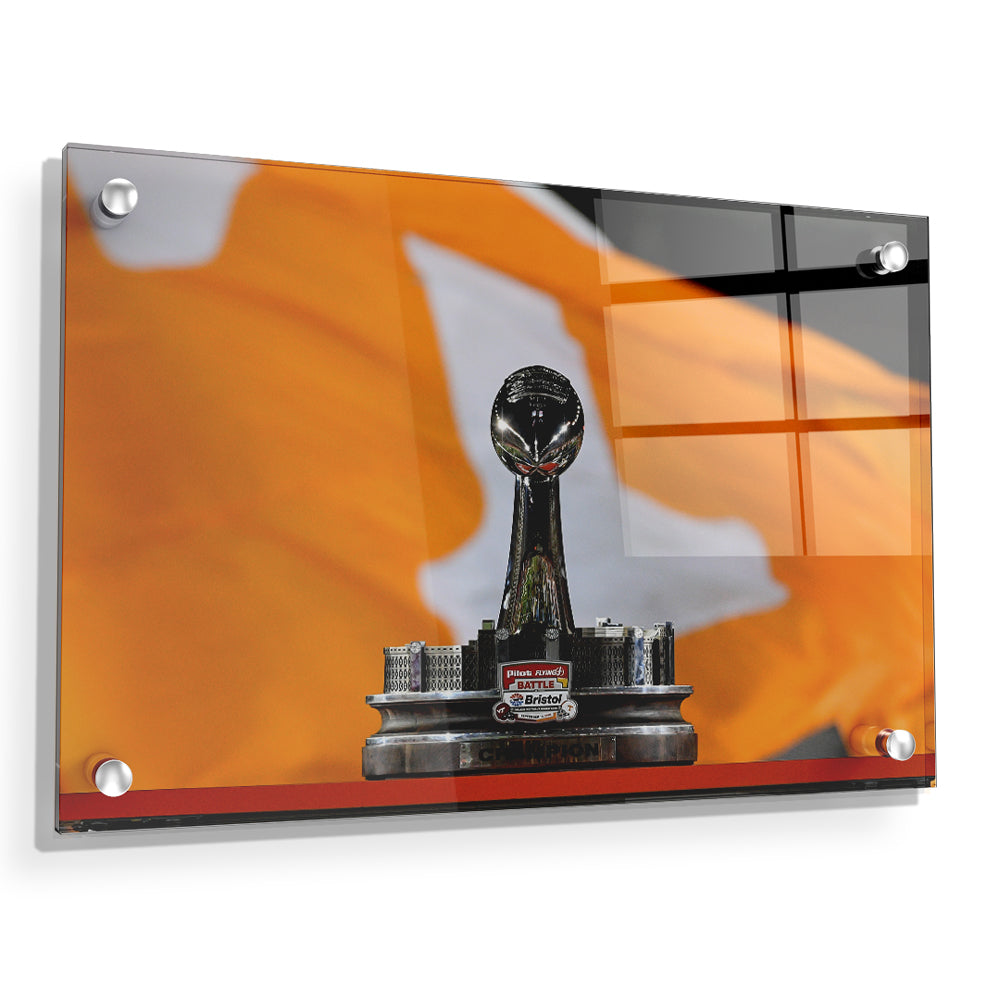 Tennessee Volunteers - BaB Trophy - College Wall Art #Canvas