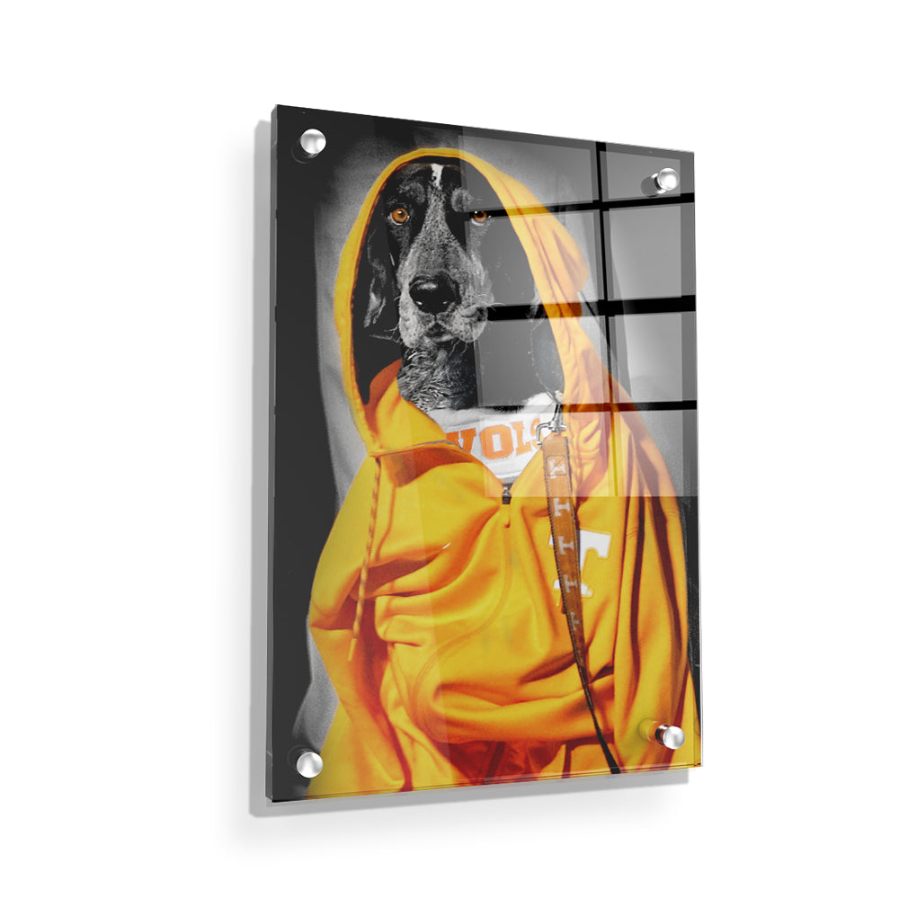 Tennessee Volunteers - Smokey Hood - College Wall Art #Canvas