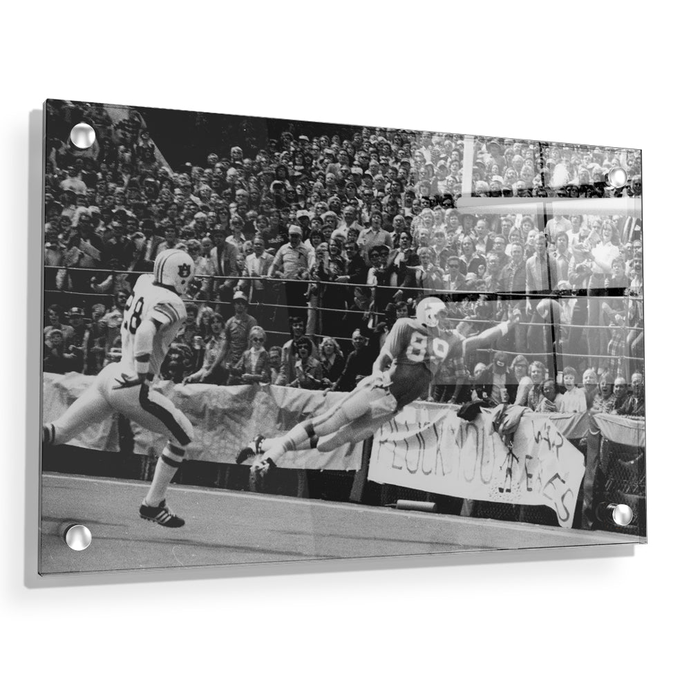 Tennessee Volunteers - Vintage Larry Seivers - College Wall Art #Acrylic