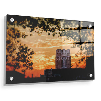 Tennessee Volunteers - Ayres Blaze - College Wall Art #Acrylic