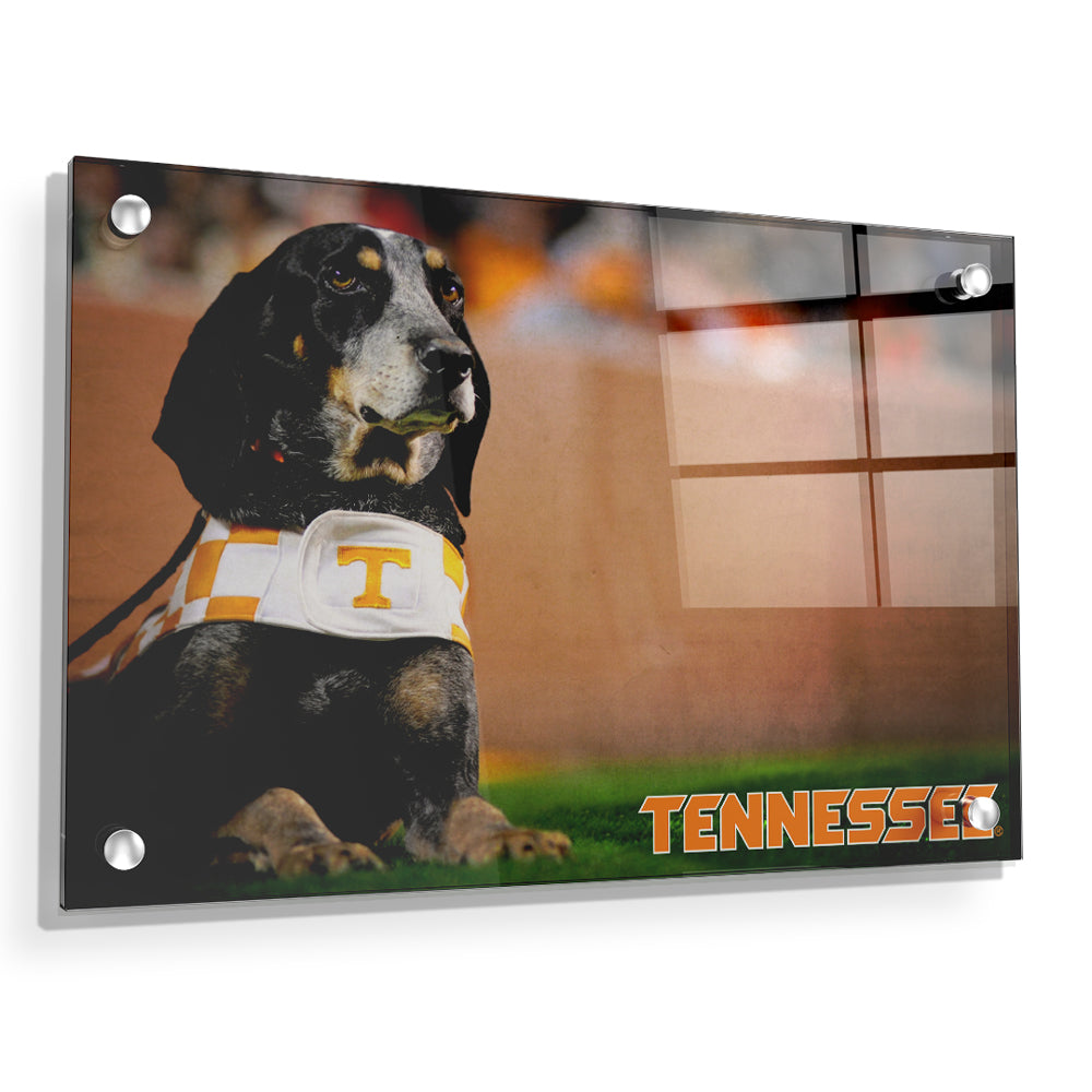 Tennessee Volunteers - Smokey - College Wall Art #Canvas