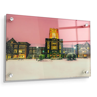 Tennessee Volunteers - Snowy Ayres - College Wall Art #Acrylic