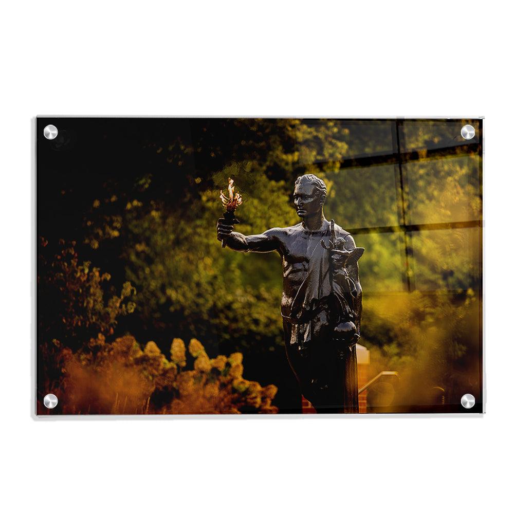 Tennessee Volunteers - Fall Torchbearer - College Wall Art #Canvas