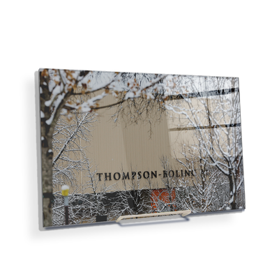 Tennessee Volunteers - Snowy Thompson-Boling - College Wall Art #Acrylic Mini