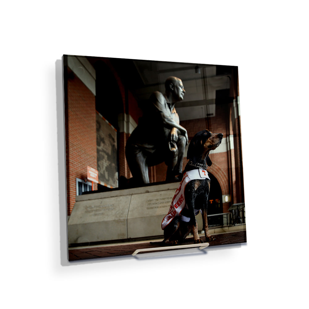 Tennessee Volunteers - Poised - College Wall Art #Canvas