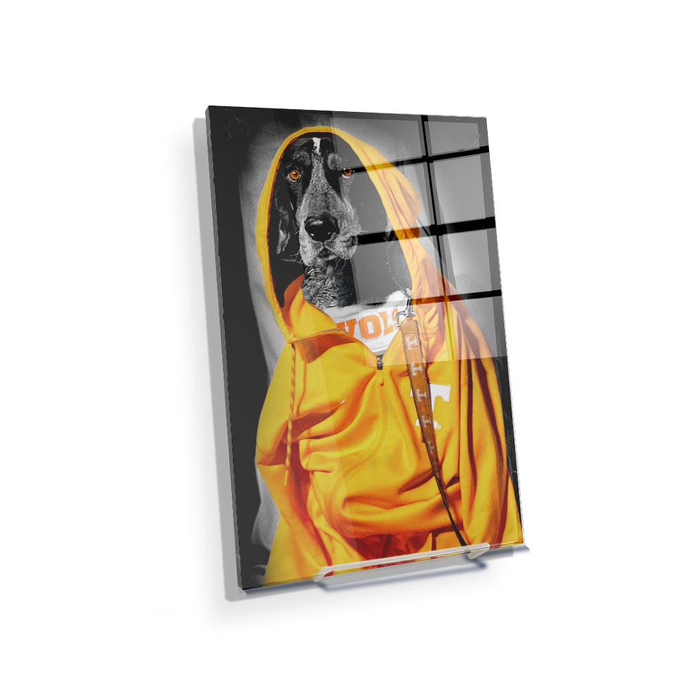 Tennessee Volunteers - Smokey Hood - College Wall Art #Canvas