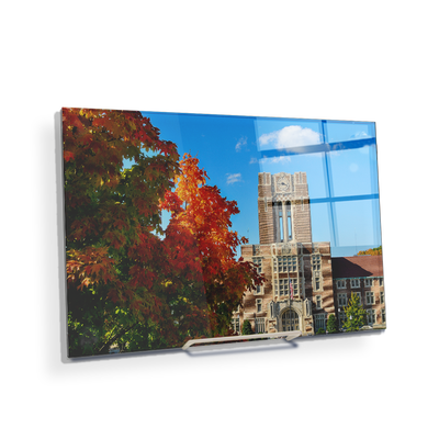 Tennessee Volunteers - Ayres Fall - College Wall Art #Acrylic Mini