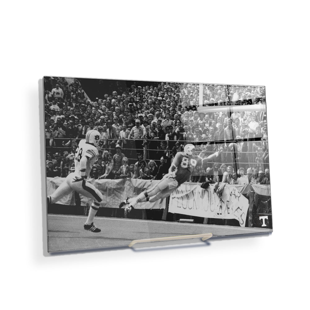 Tennessee Volunteers - Vintage Larry Seivers - College Wall Art #Acrylic Mini