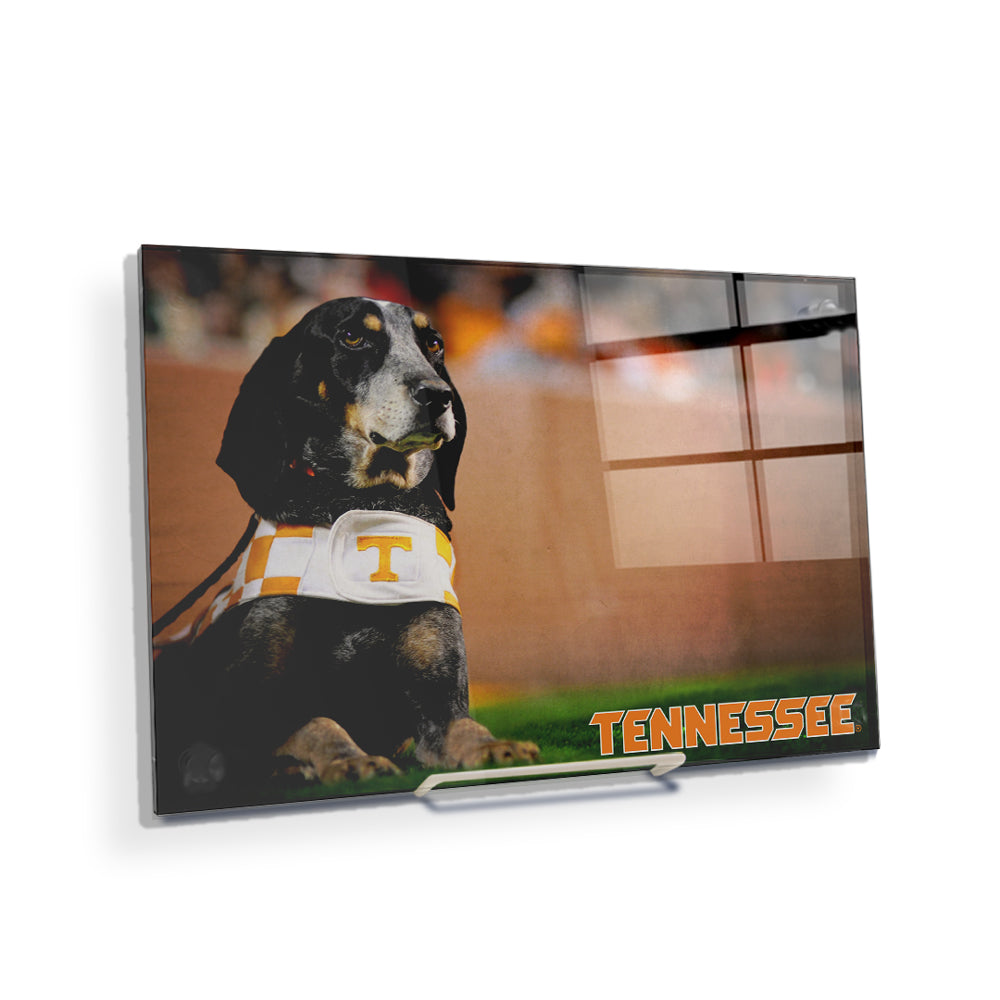 Tennessee Volunteers - Smokey - College Wall Art #Canvas