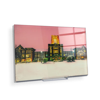Tennessee Volunteers - Snowy Ayres - College Wall Art #Acrylic Mini