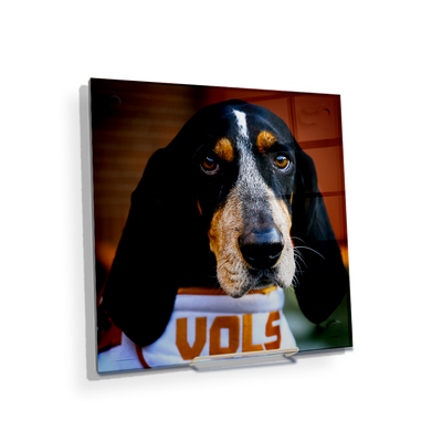 Tennessee Volunteers - TN Smokey Vols - College Wall Art #Acrylic Mini