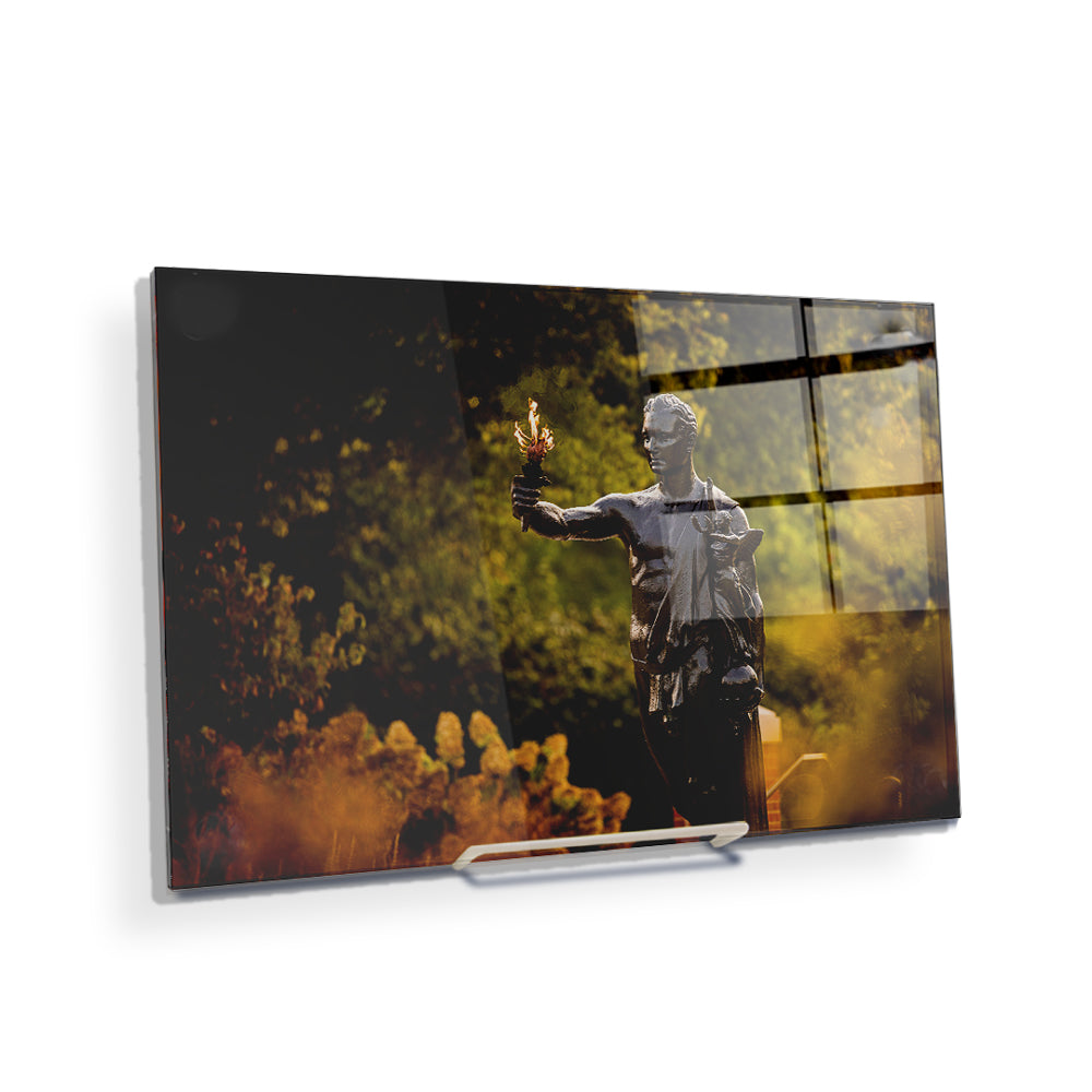 Tennessee Volunteers - Fall Torchbearer - College Wall Art #Canvas