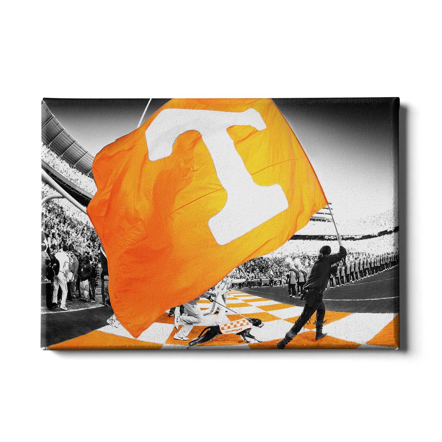Tennessee Volunteers - Tennessee Pride - College Wall Art #Canvas