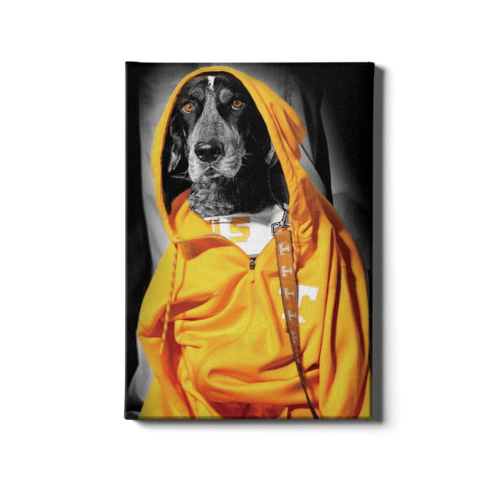 Tennessee Volunteers - Smokey Hood - College Wall Art #Canvas