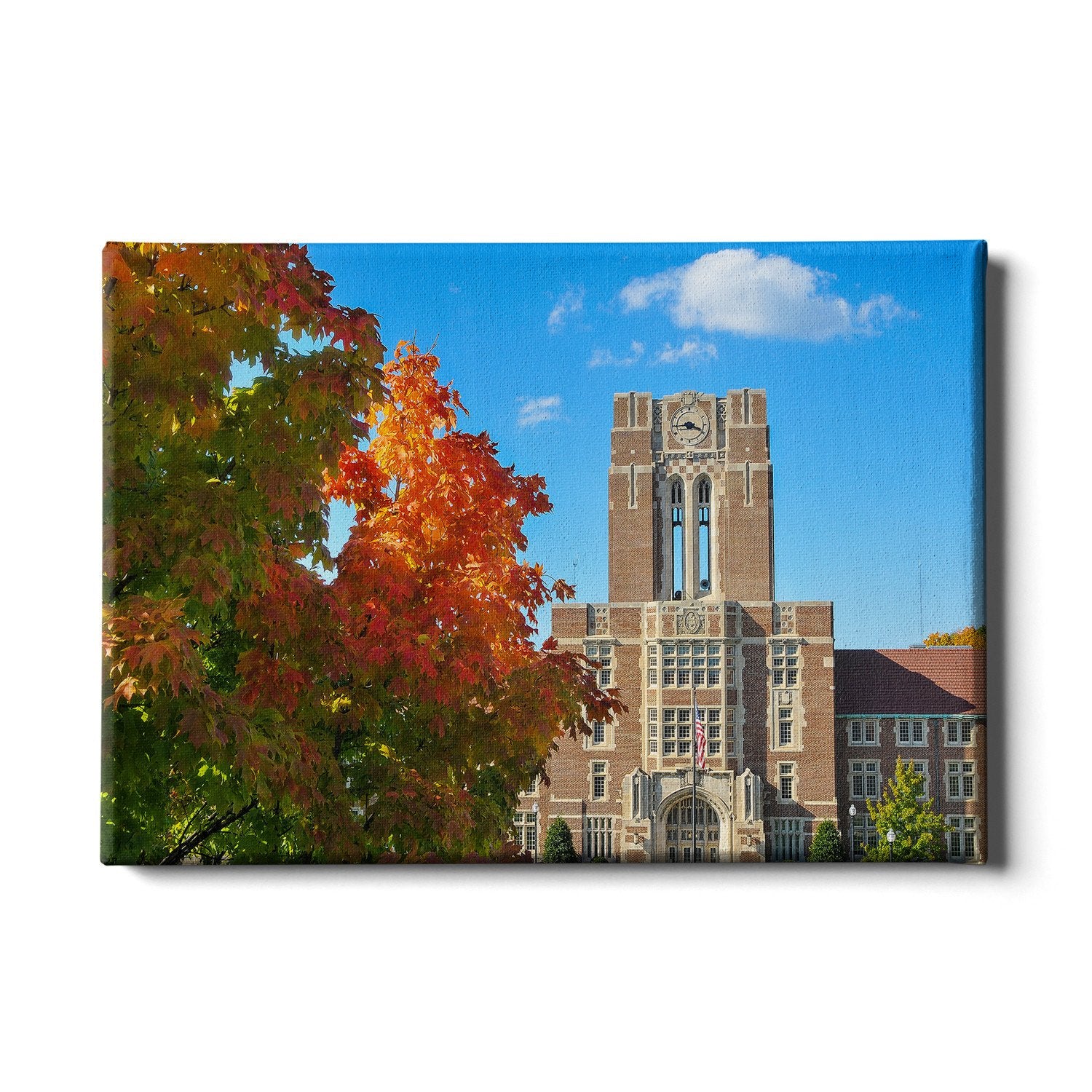 Tennessee Volunteers - Ayres Fall - College Wall Art #Canvas