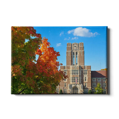 Tennessee Volunteers - Ayres Fall - College Wall Art #Canvas