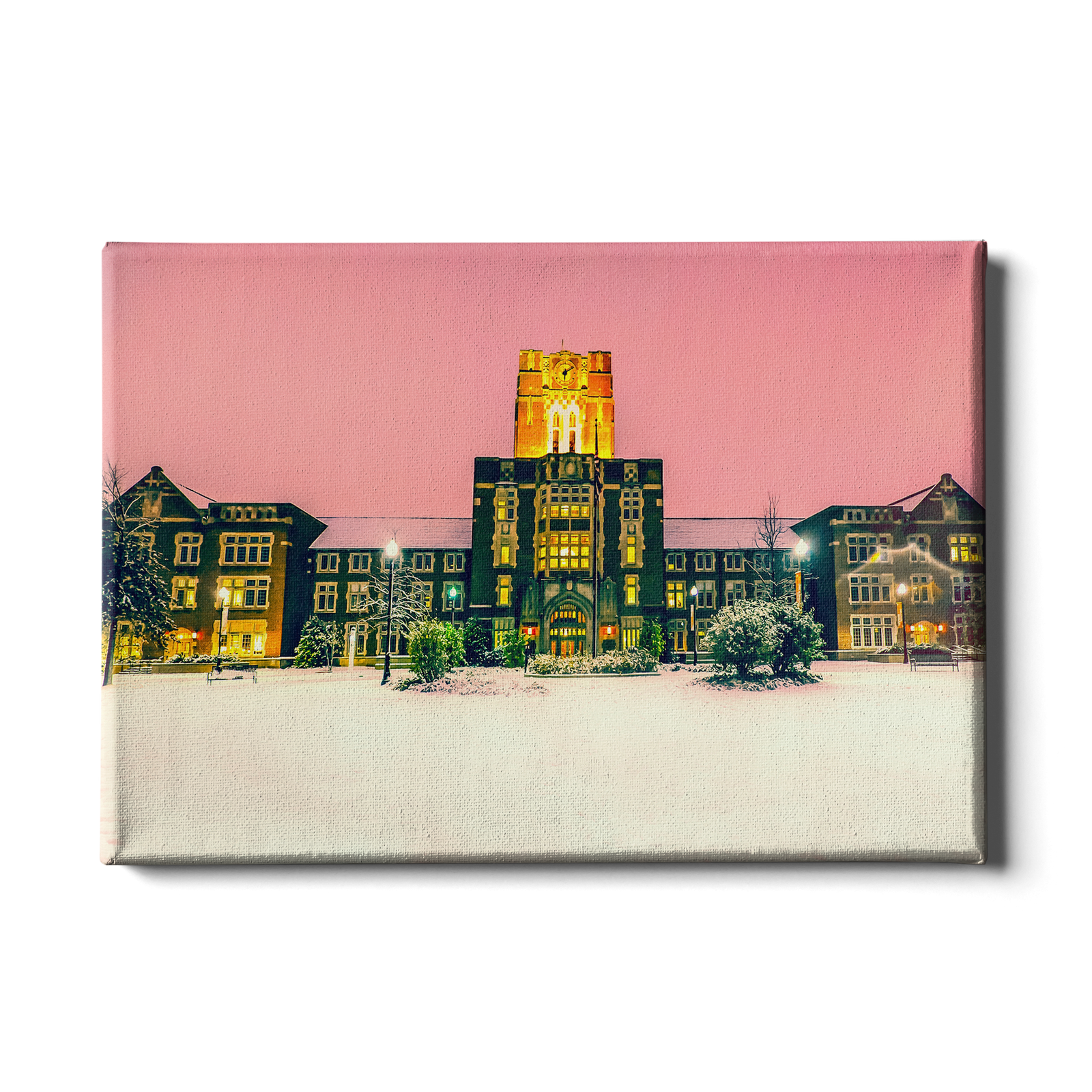 Tennessee Volunteers - Snowy Ayres - College Wall Art #Canvas