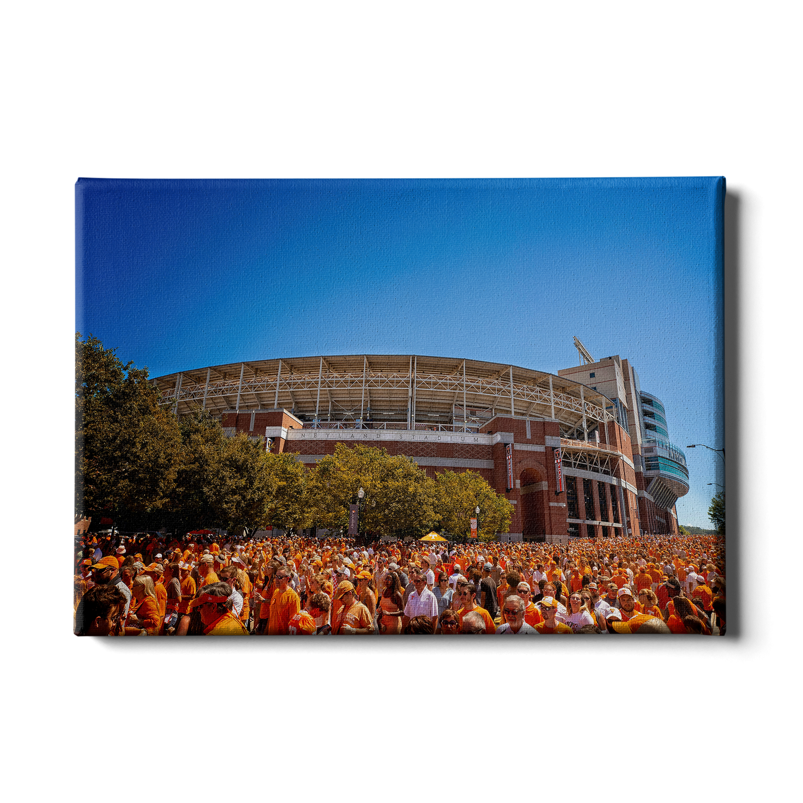 Tennessee Volunteers - Orange Swarm - College Wall Art #Canvas