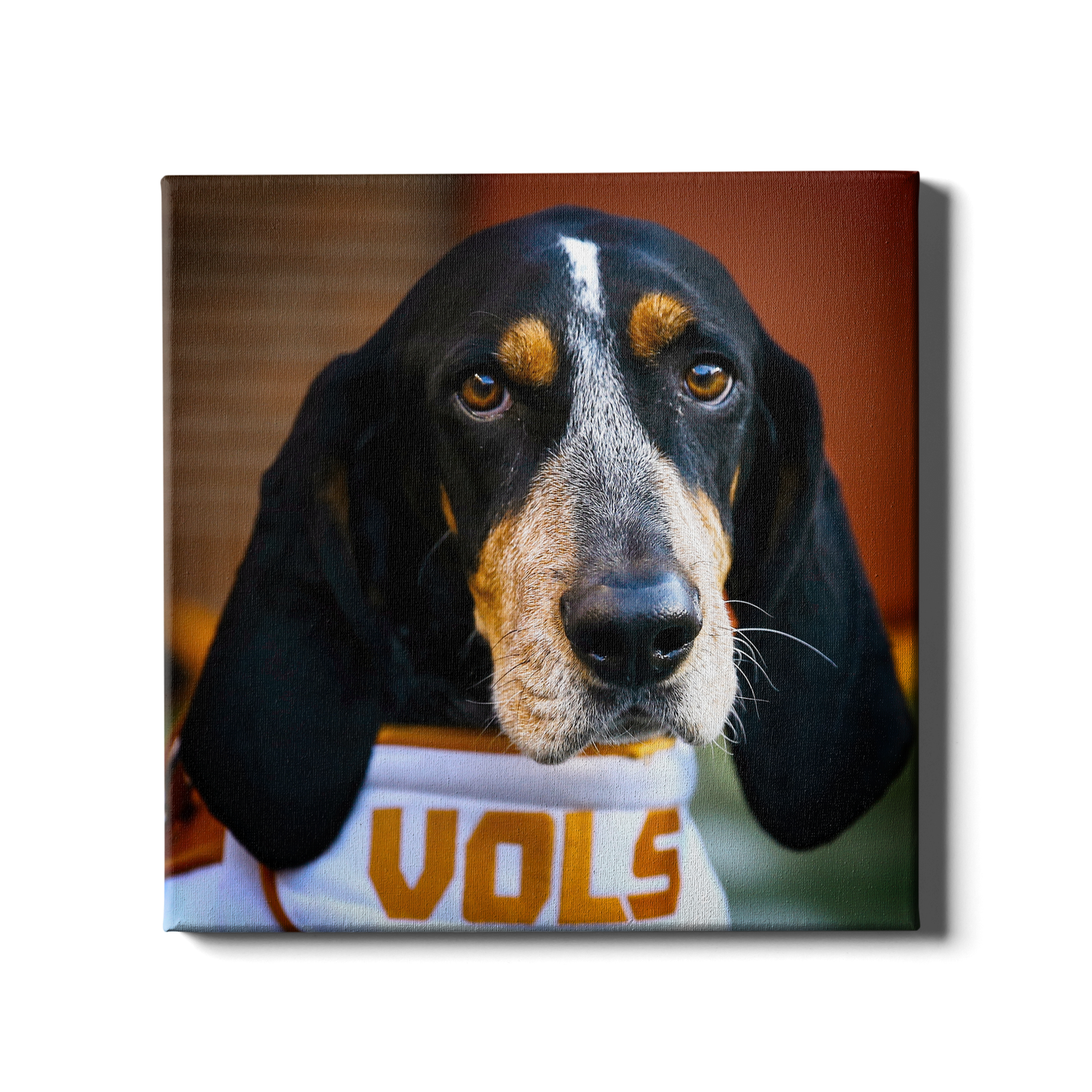 Tennessee Volunteers - TN Smokey Vols - College Wall Art #Canvas