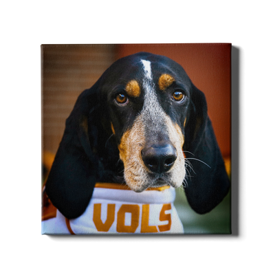 Tennessee Volunteers - TN Smokey Vols - College Wall Art #Canvas