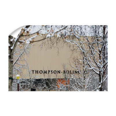 Tennessee Volunteers - Snowy Thompson-Boling - College Wall Art #Wall Decal