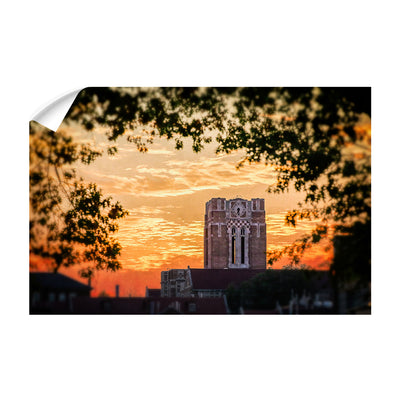 Tennessee Volunteers - Ayres Blaze - College Wall Art #Wall Decal