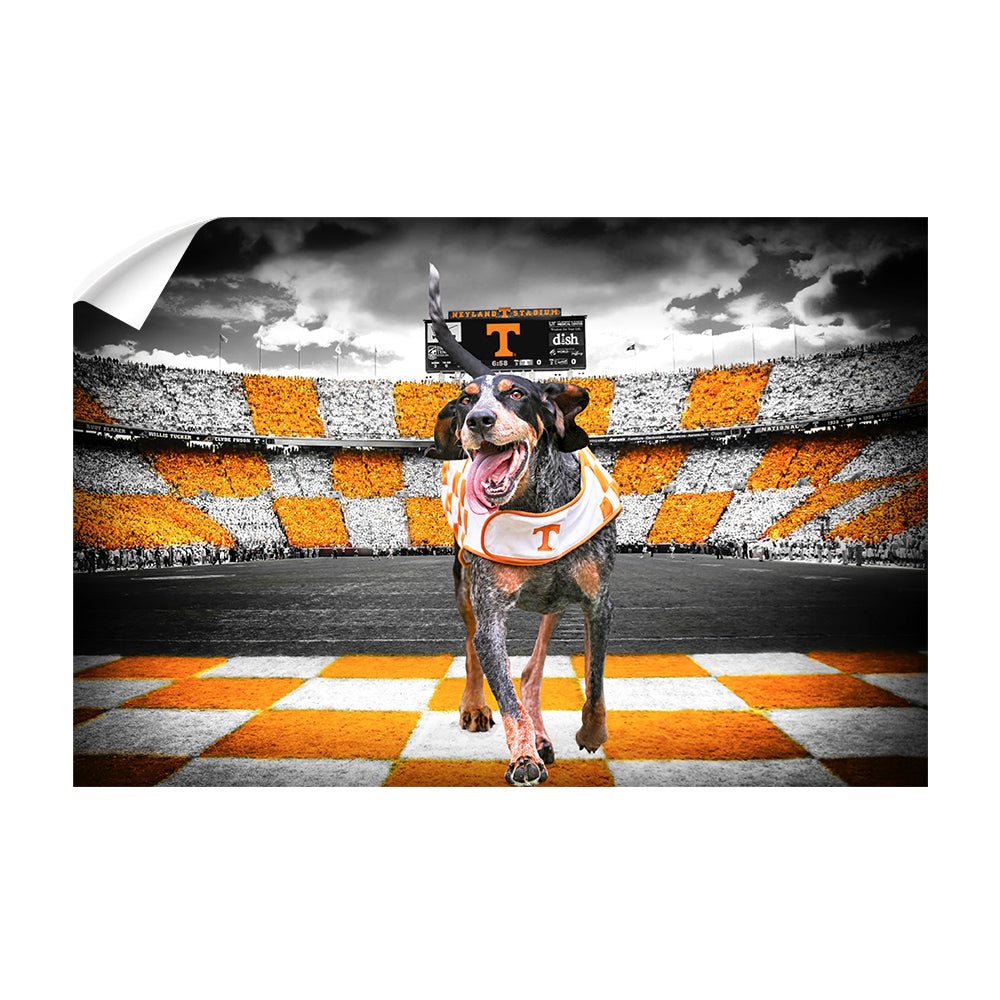 Tennessee Volunteers - Smokey's Backyard - College Wall Art #Canvas
