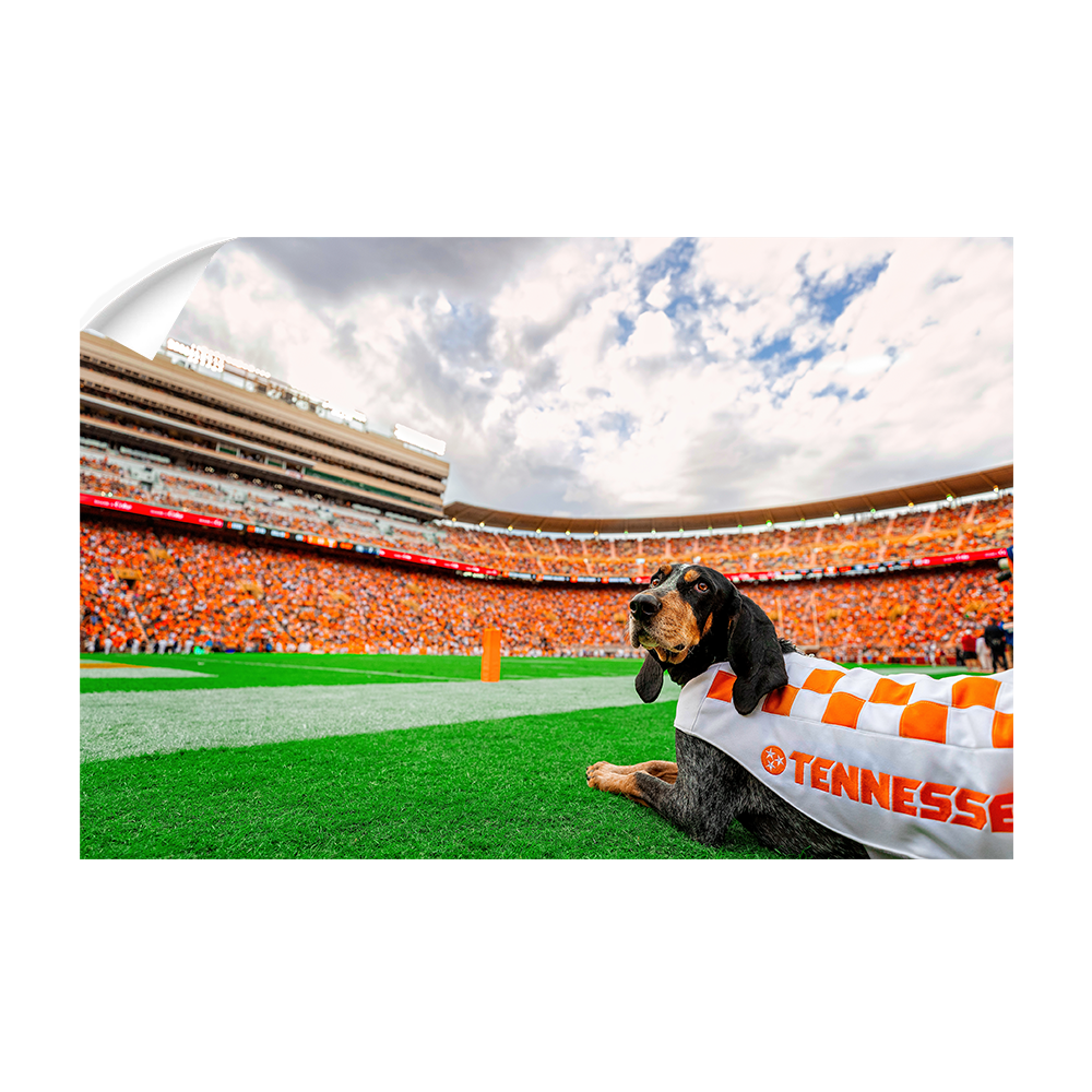 Tennessee Volunteers - Smokey's Tennessee - College Wall Art #Canvas