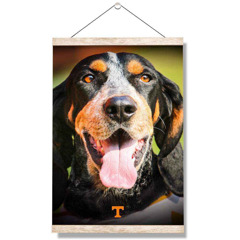 Tennessee Volunteers - Smokey Smiles - College Wall Art #Canvas