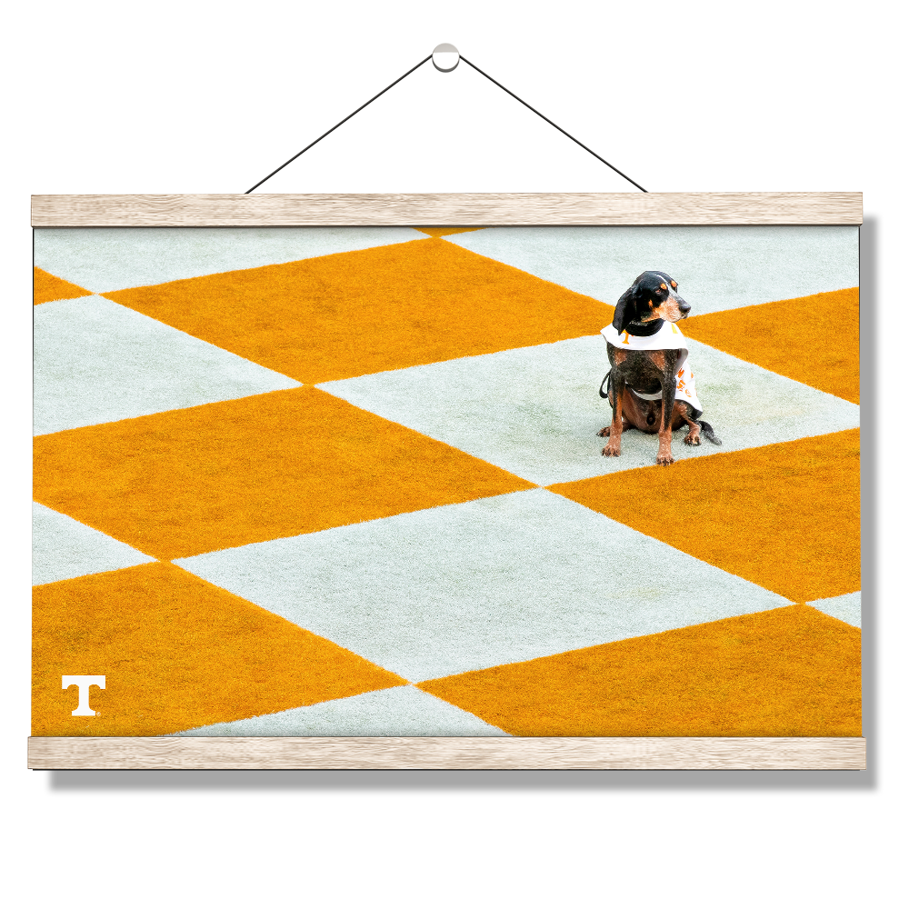 Tennessee Volunteers - Checkerboard Smokey - College Wall Art #Canvas