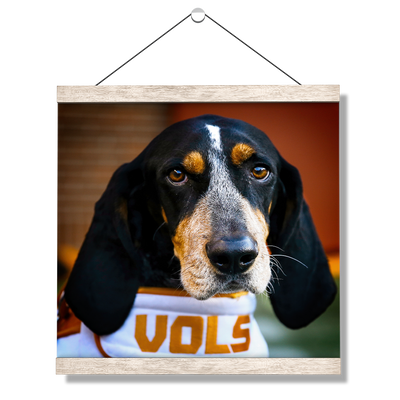 Tennessee Volunteers - TN Smokey Vols - College Wall Art #Hanging Canvas