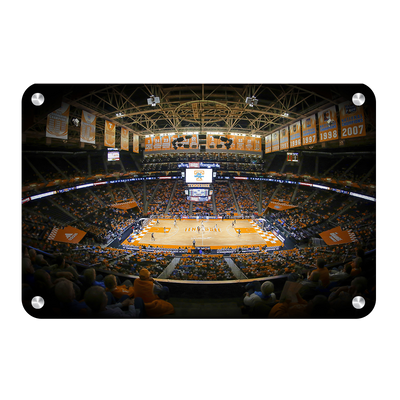 Tennessee Volunteers - Lady Vols Thompson-Boling - College Wall Art #Metal