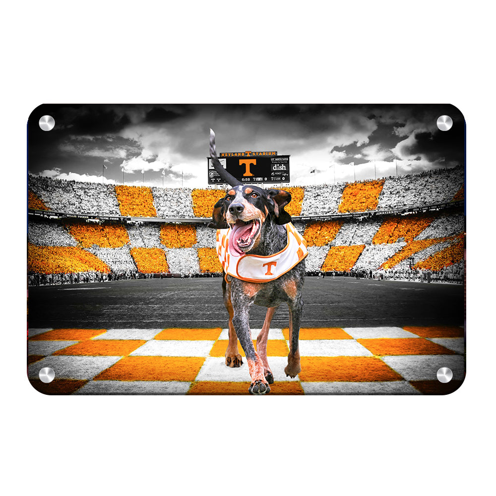 Tennessee Volunteers - Smokey's Backyard - College Wall Art #Canvas