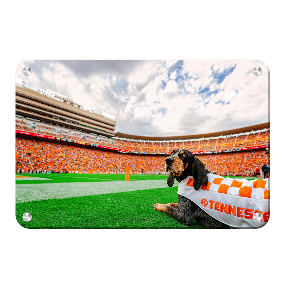 Tennessee Volunteers - Smokey's Tennessee - College Wall Art #Canvas